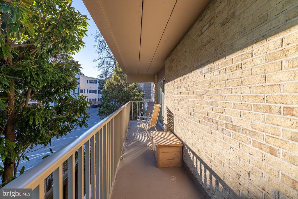 8 OLIVE AVENUE 205