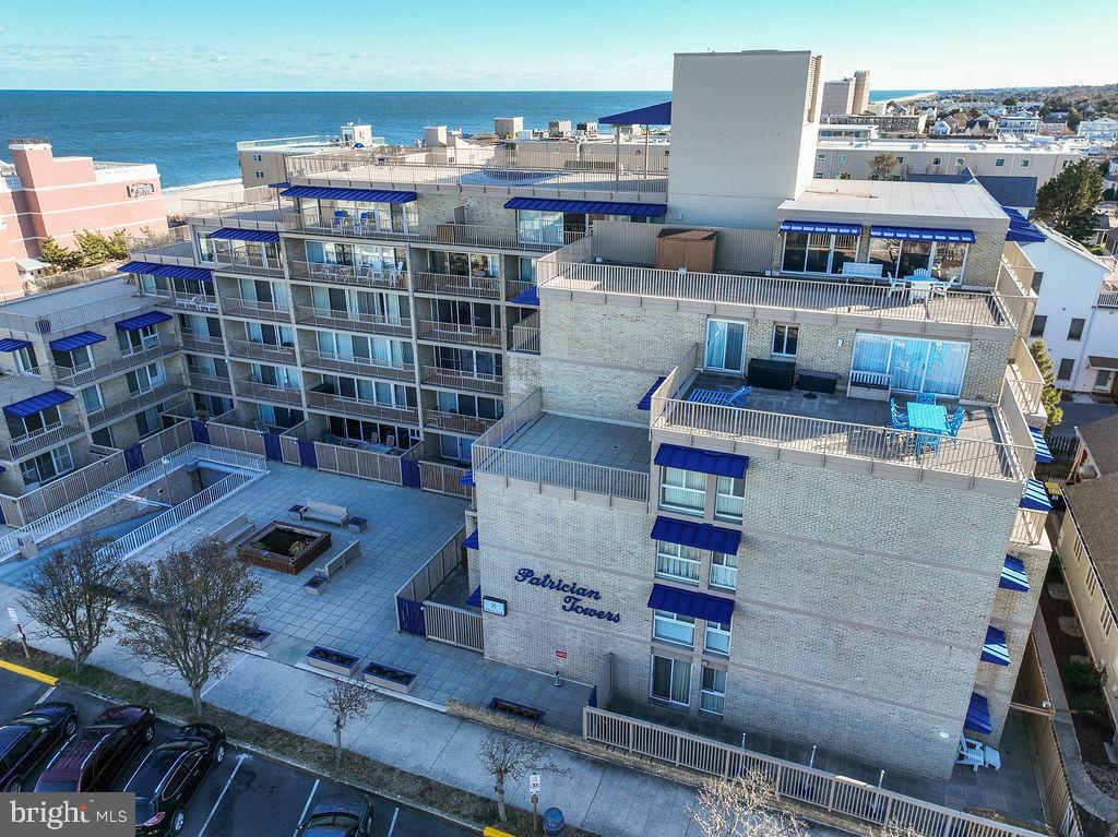 8 OLIVE AVENUE 205