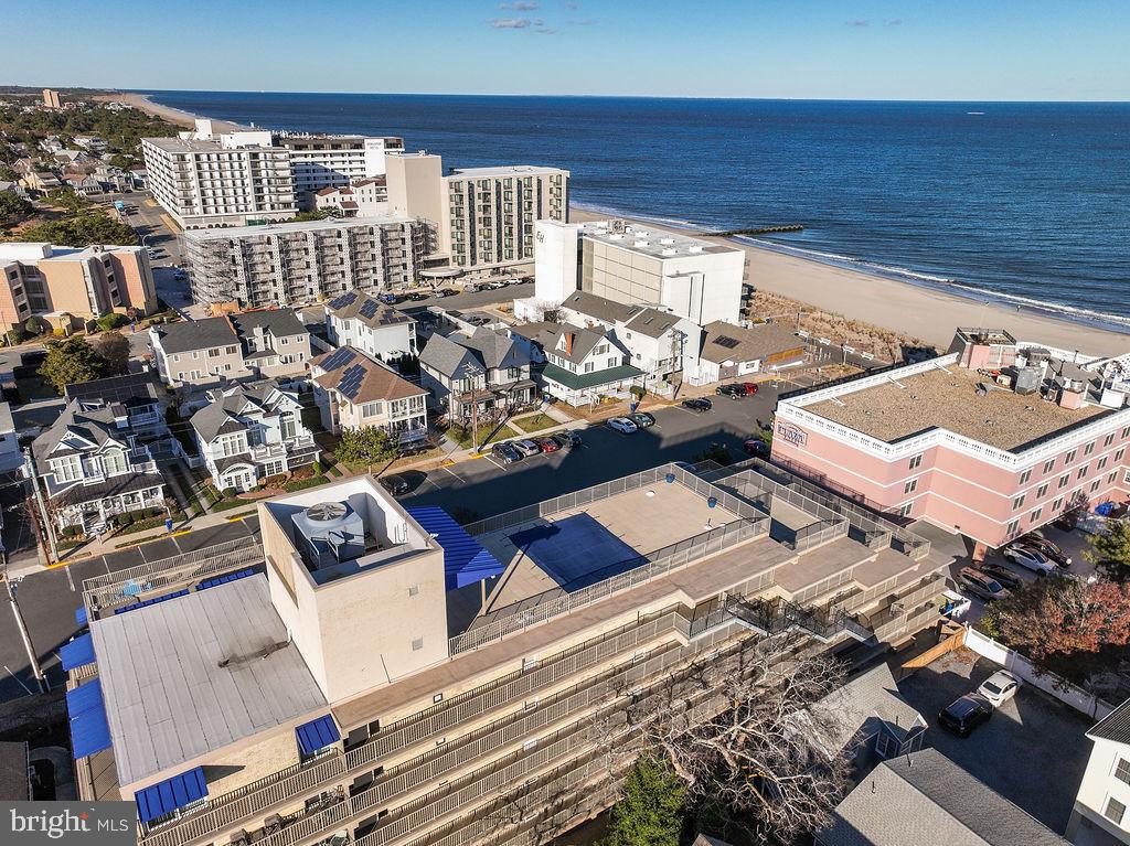 8 OLIVE AVENUE 205