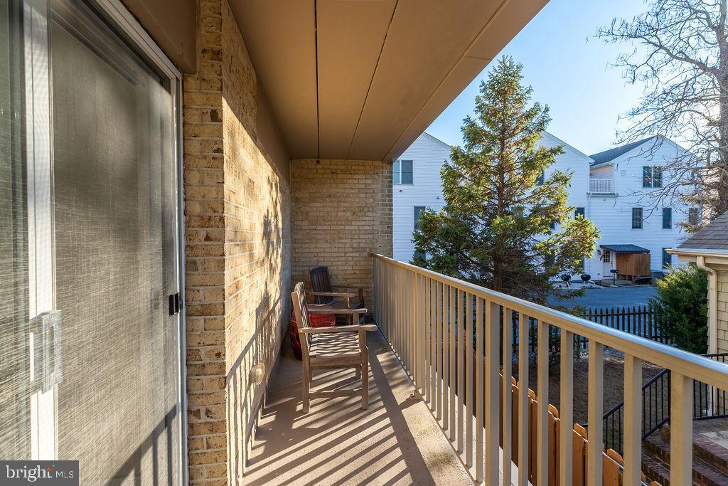 8 OLIVE AVENUE 205