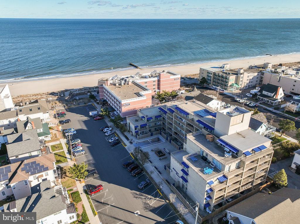 8 OLIVE AVENUE 205
