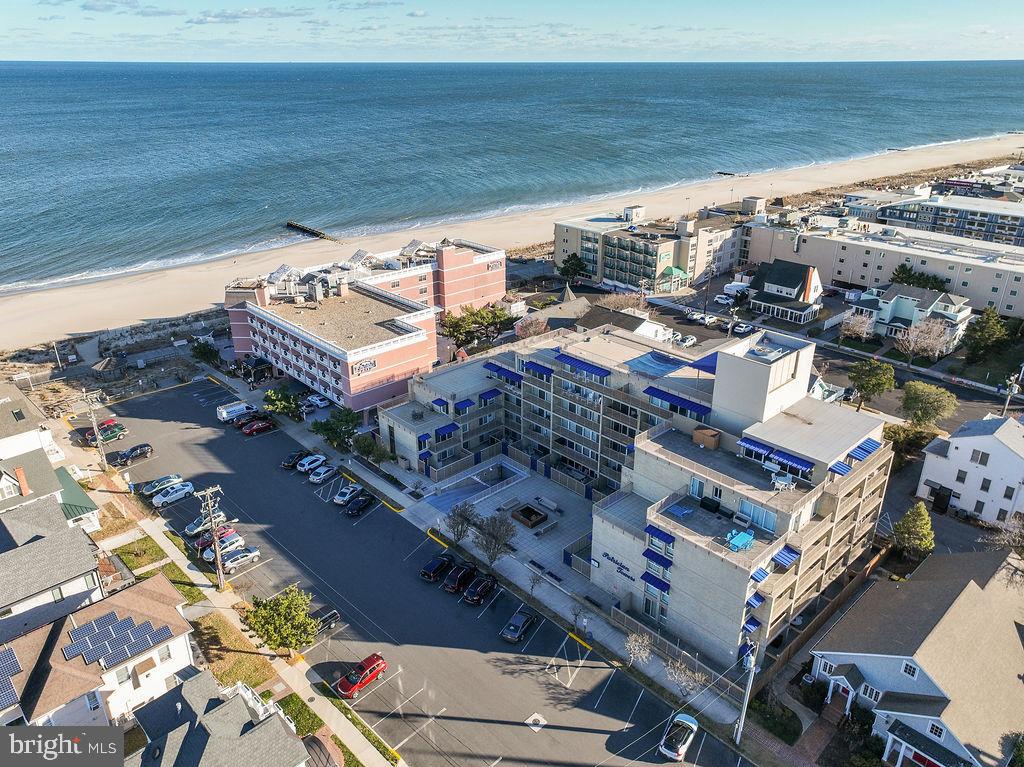 8 OLIVE AVENUE 205