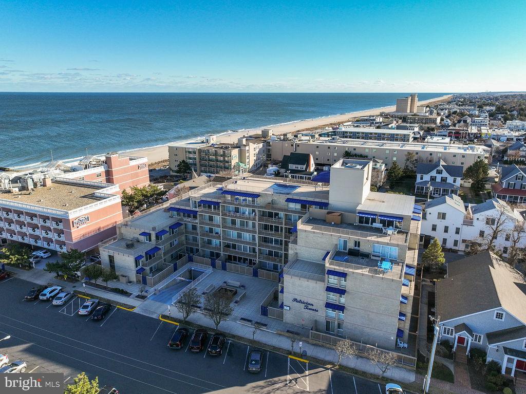 8 OLIVE AVENUE 205