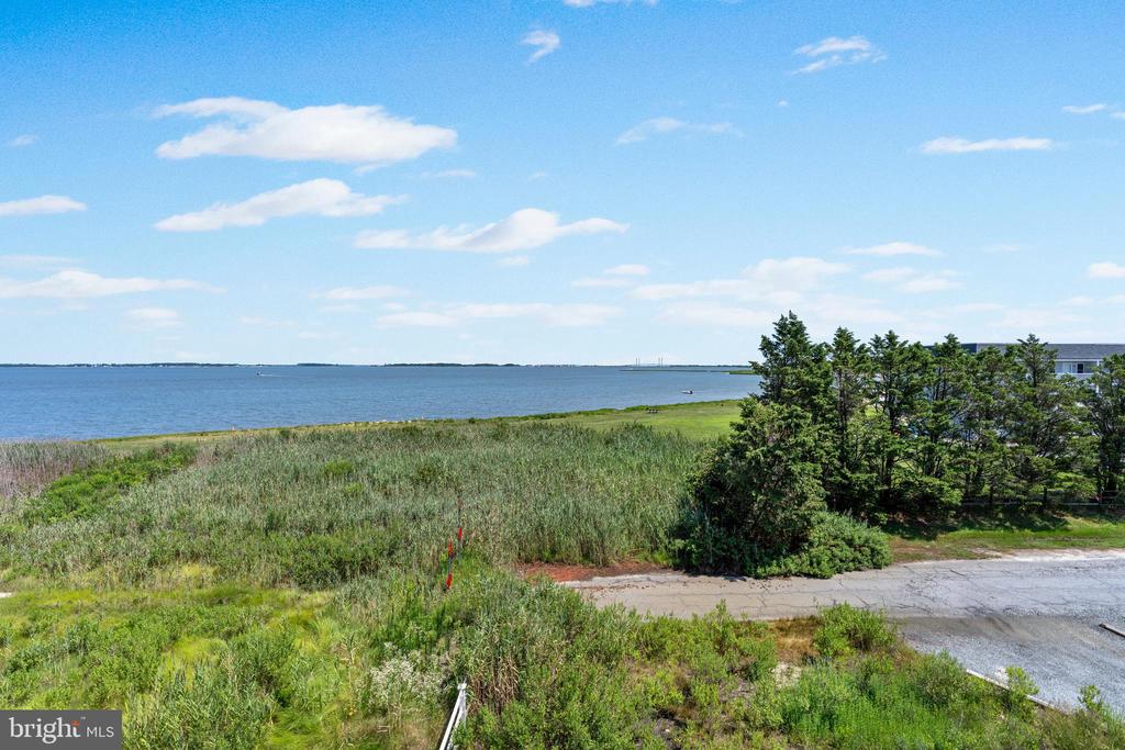 37706 SANDY TRAP DRIVE Unit: 1103