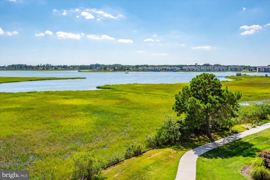 30155 JUMP LANE Unit: 407