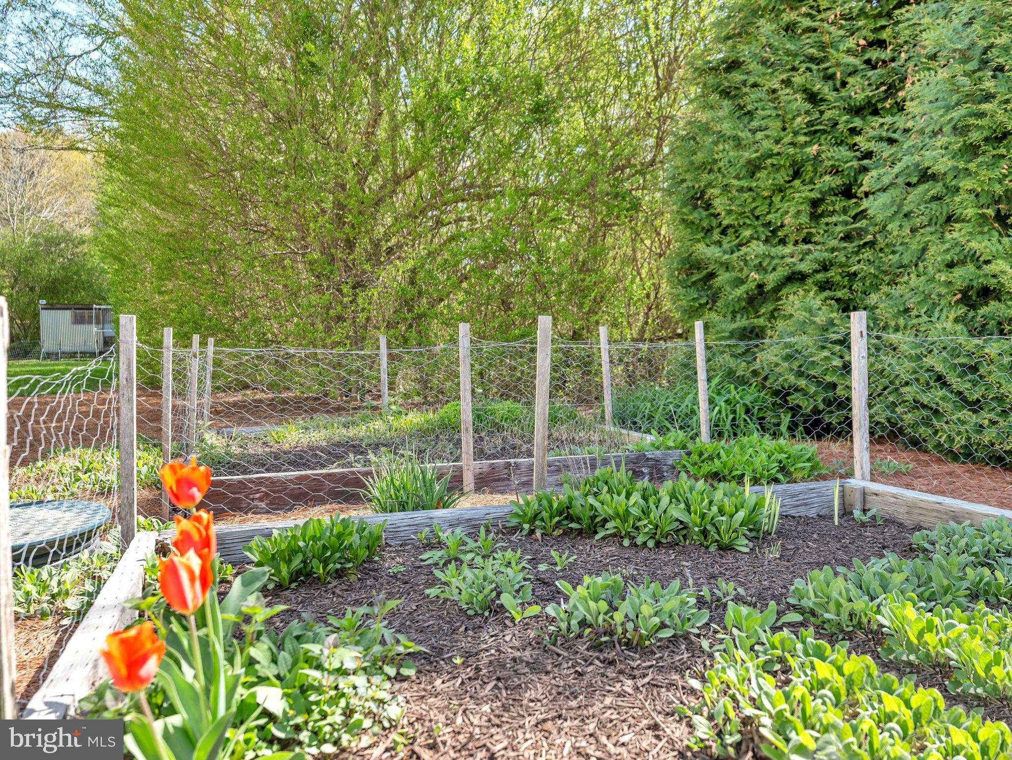 9811 PEERLESS ROAD