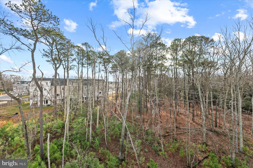 9503 SEASCAPE LANE 4