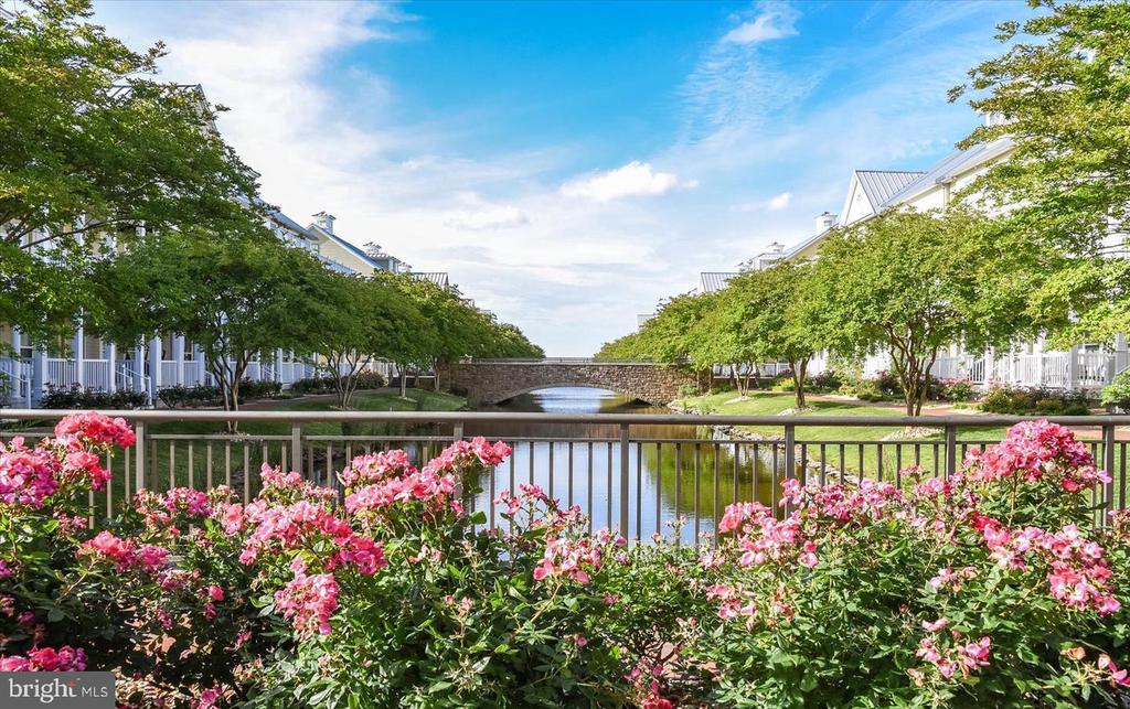 35 FOUNTAIN DRIVE W Unit: LUG-AV-4D