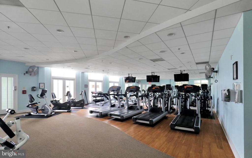 35 FOUNTAIN DRIVE W Unit: LUG-AV-4D