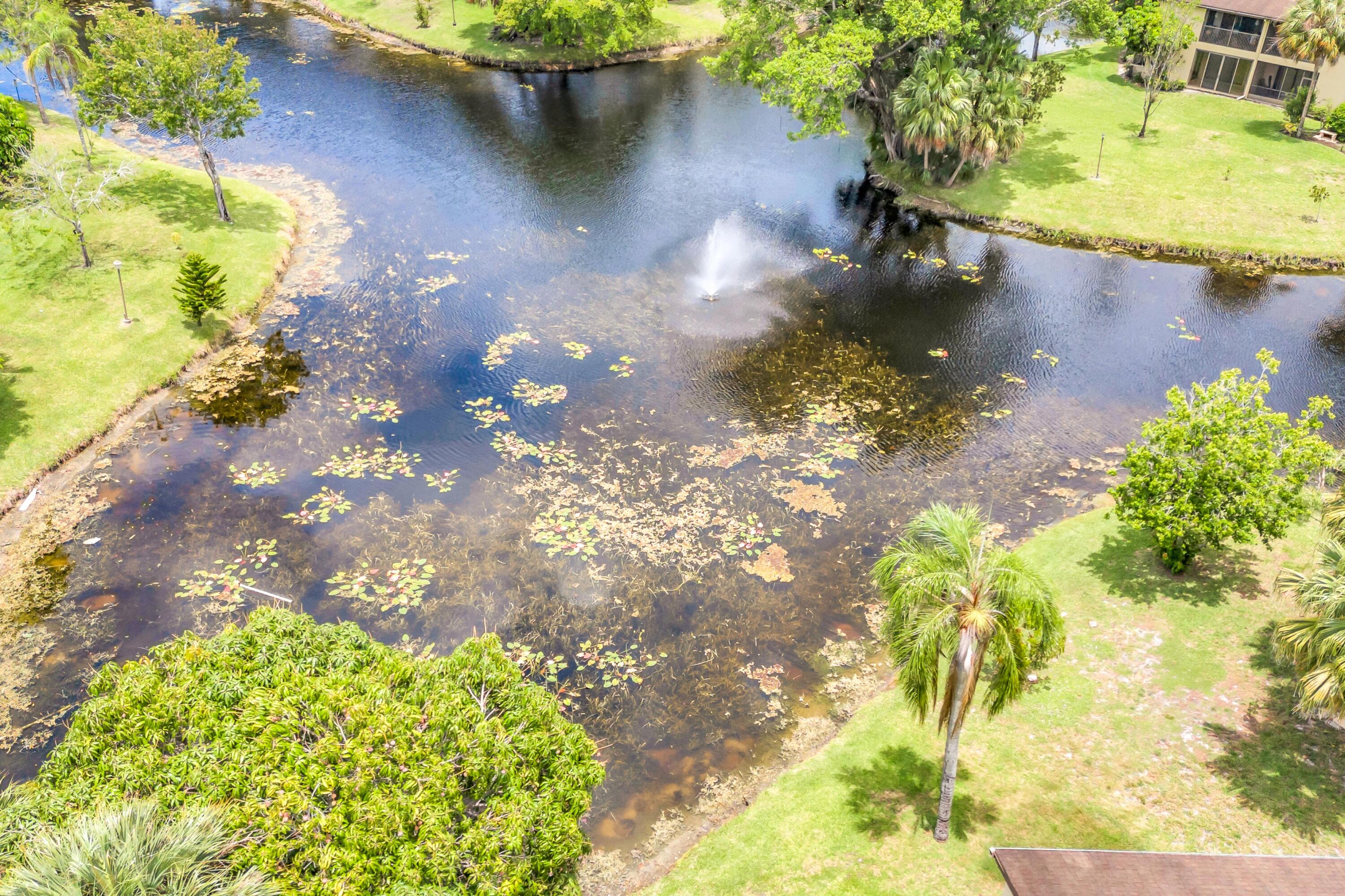 3123 S Carambola Cir S S 2362