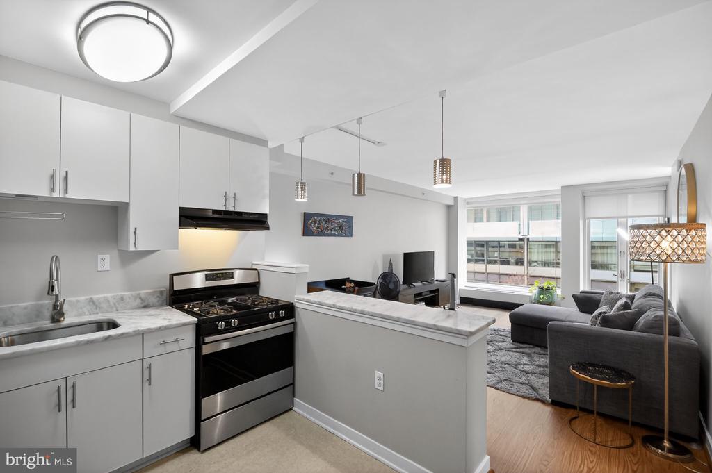 1101 3RD STREET SW 111