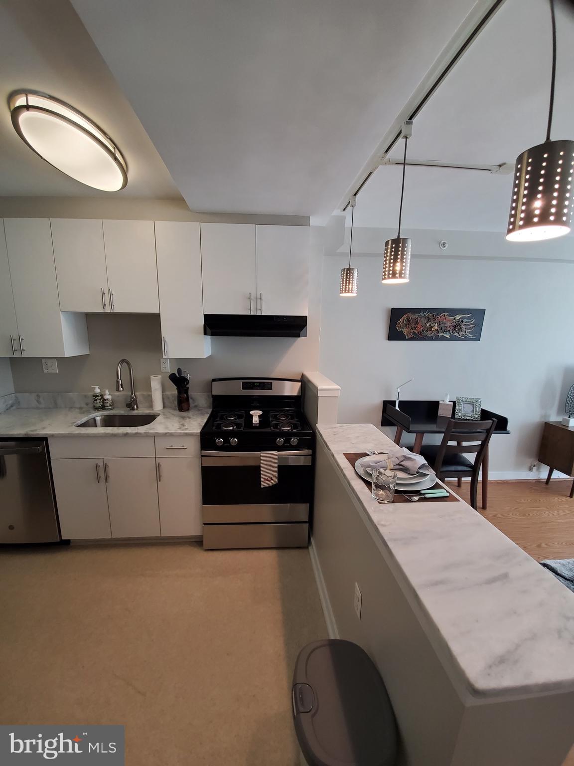 1101 3RD STREET SW 111