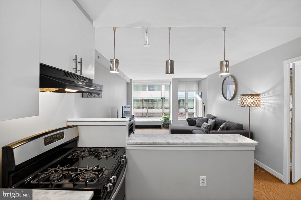 1101 3RD STREET SW 111