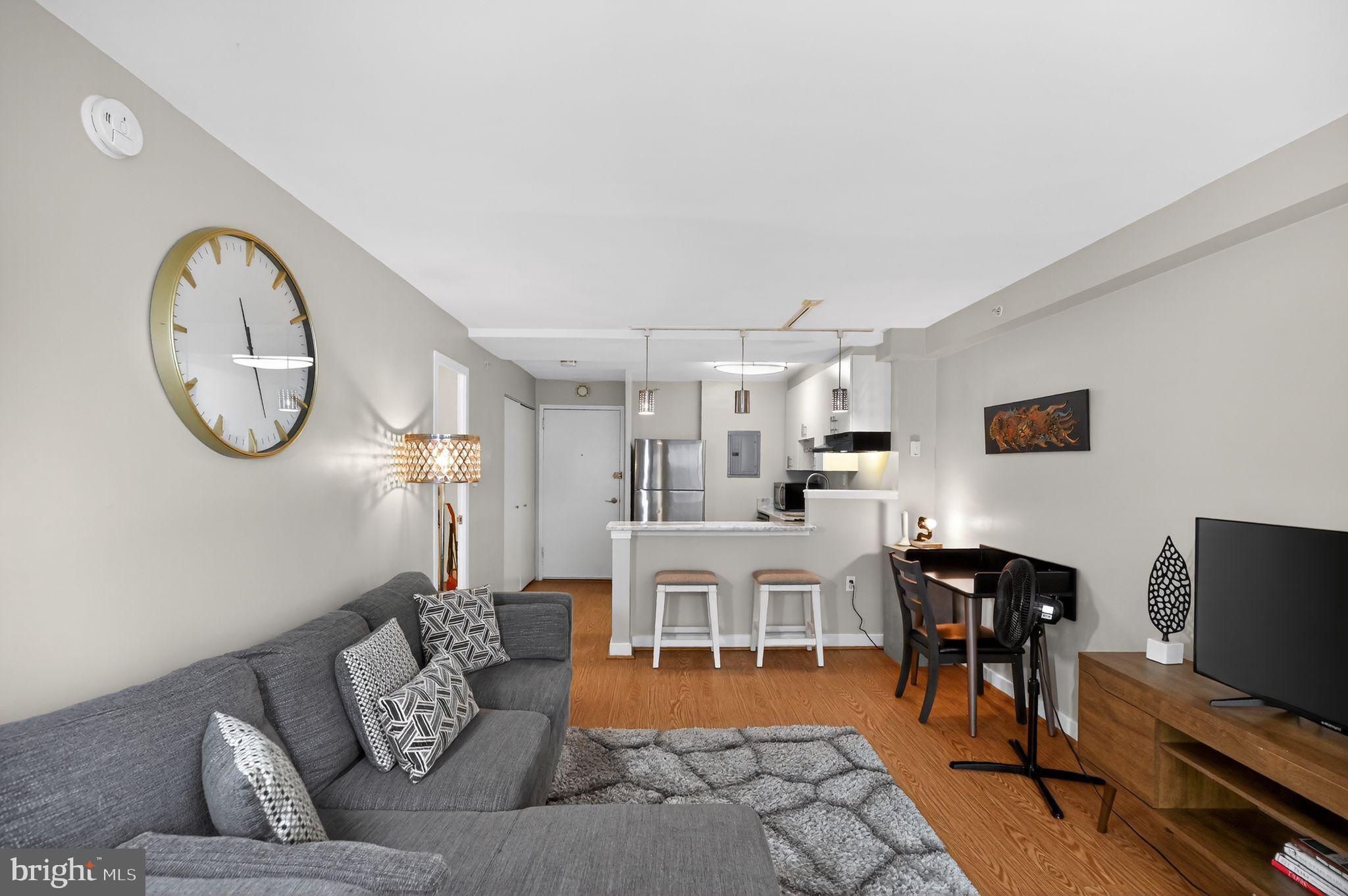 1101 3RD STREET SW 111