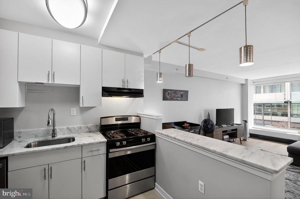 1101 3RD STREET SW 111