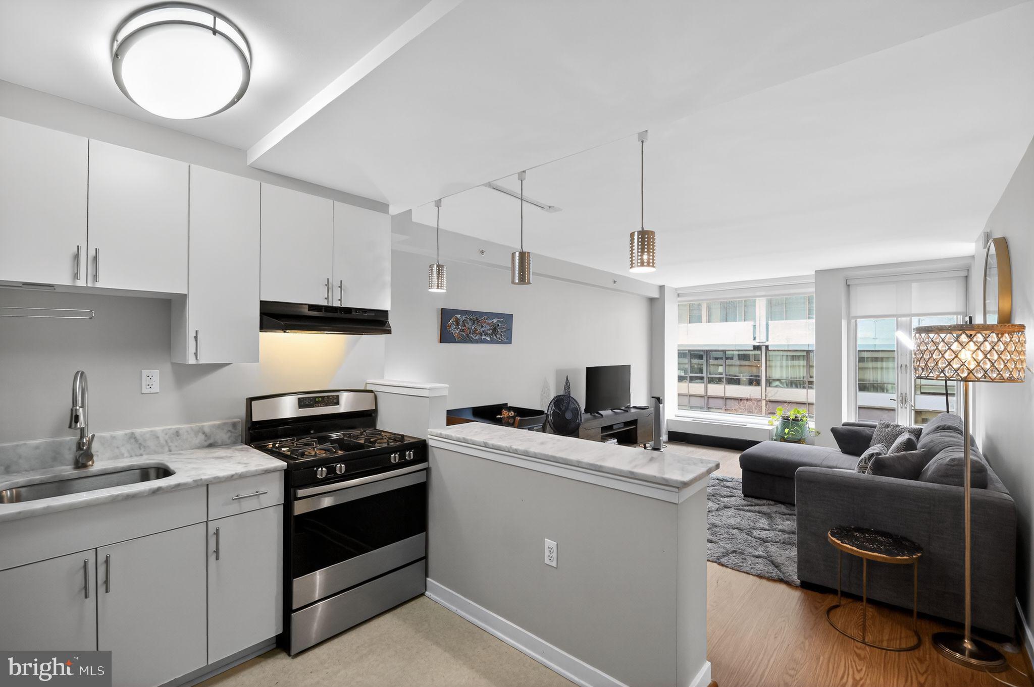 1101 3RD STREET SW 111