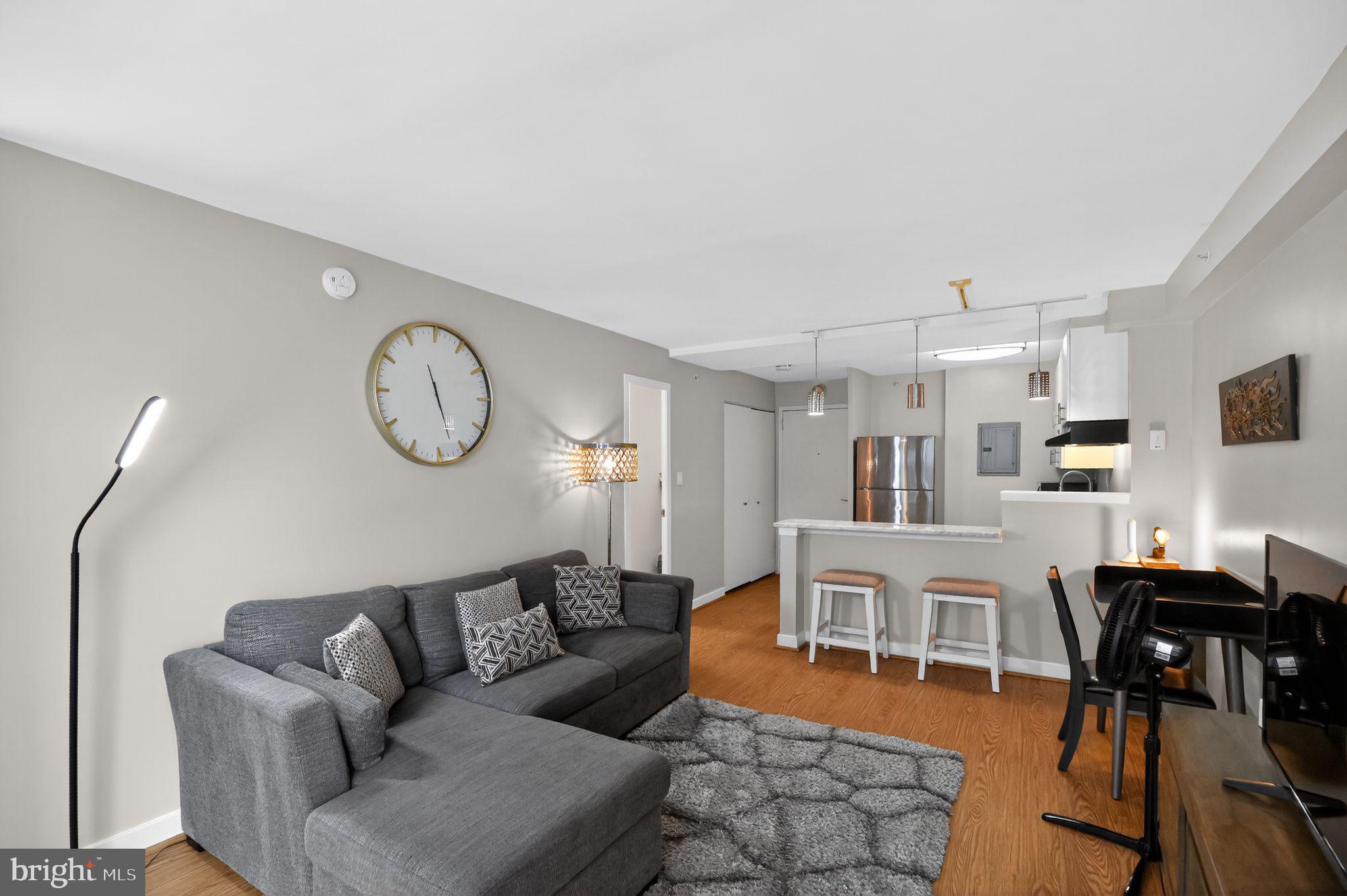 1101 3RD STREET SW 111