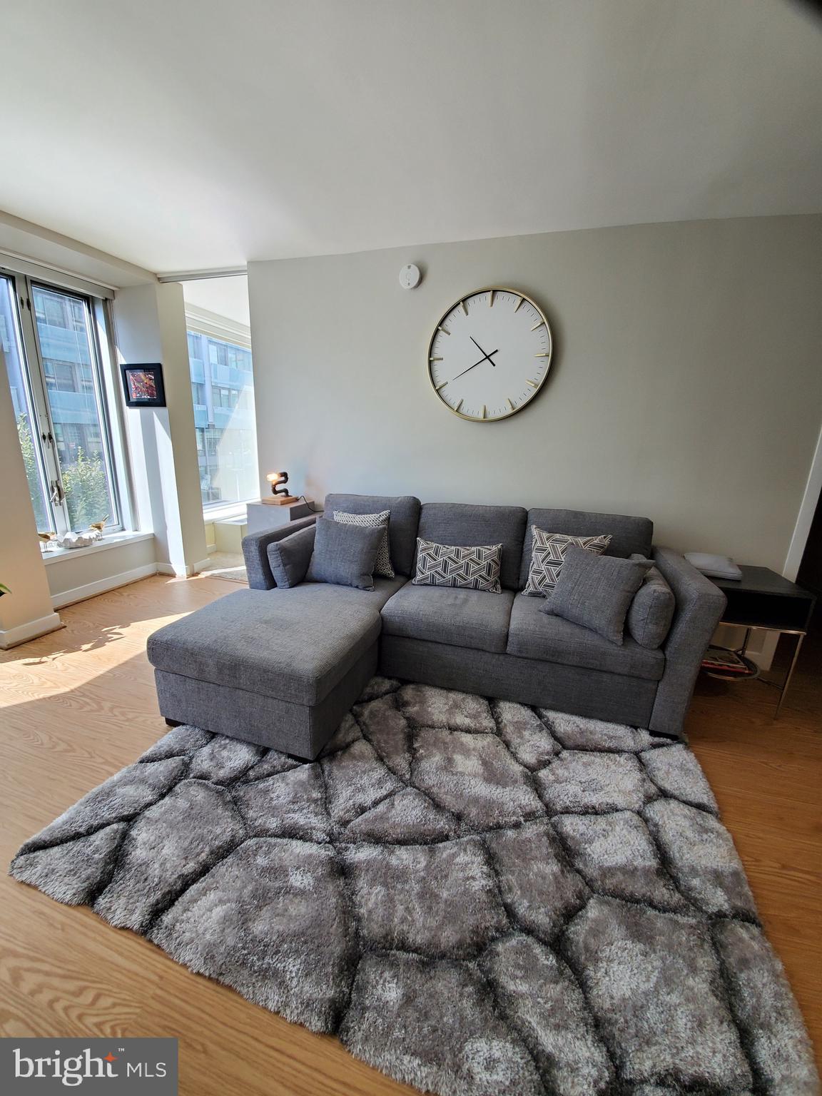 1101 3RD STREET SW 111