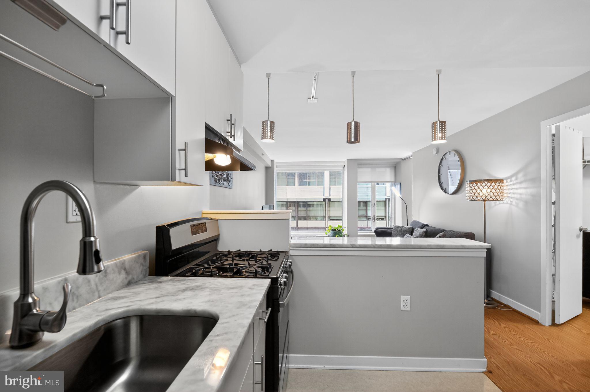 1101 3RD STREET SW 111