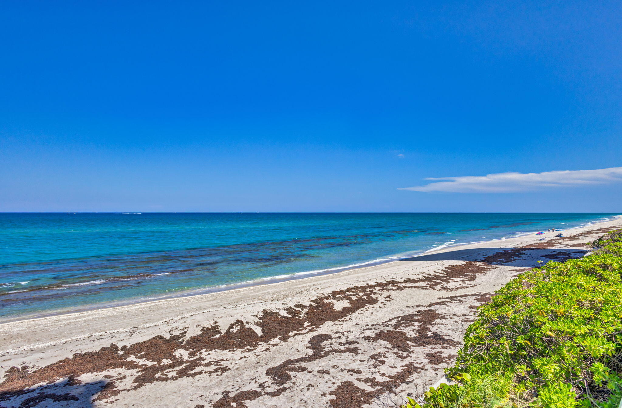 5440 N Ocean Drive 805