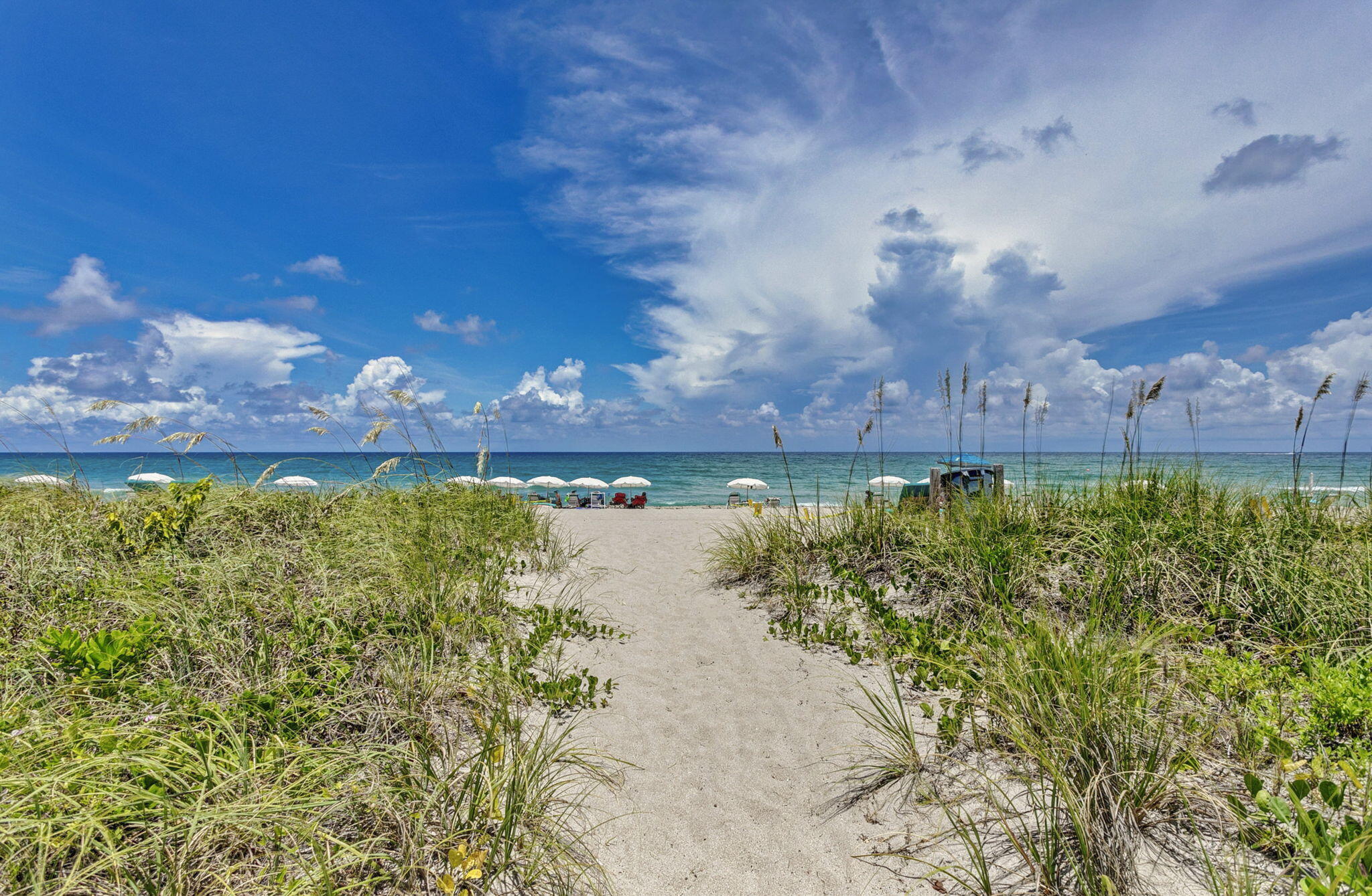 145 S Ocean Avenue 219