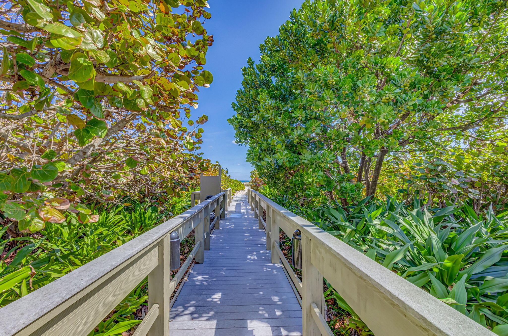 3400 N Ocean Drive 2002
