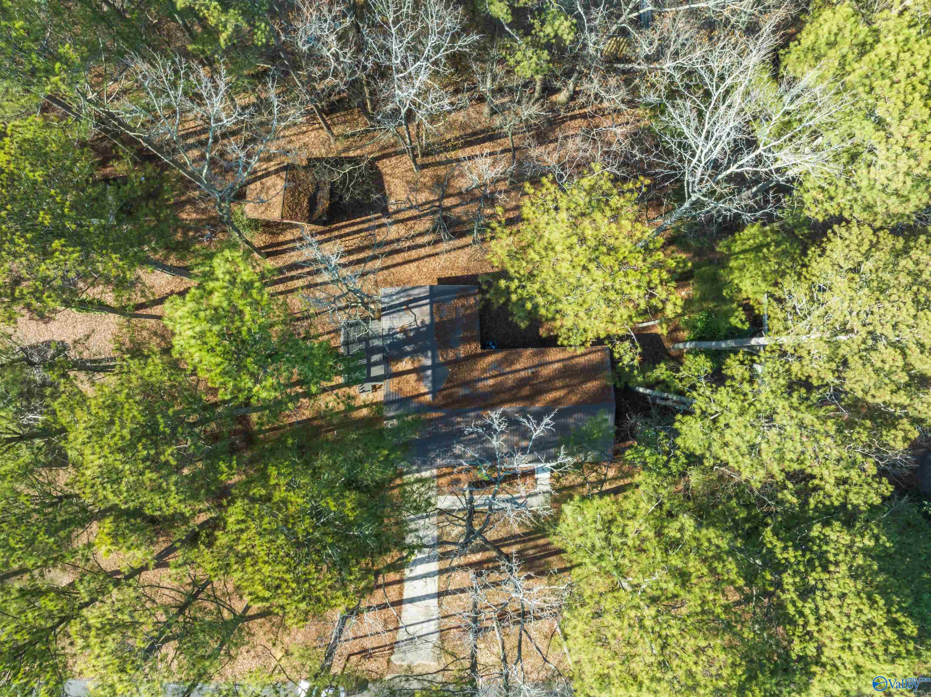 211 Falkner Circle