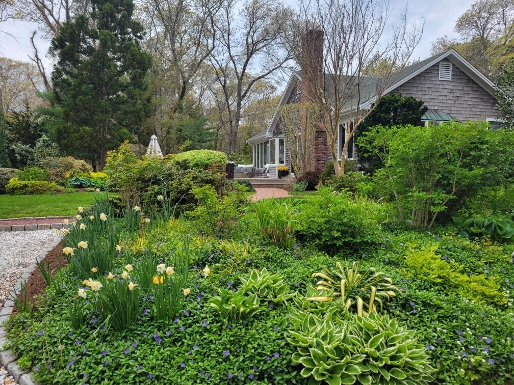 6 Joy Lane