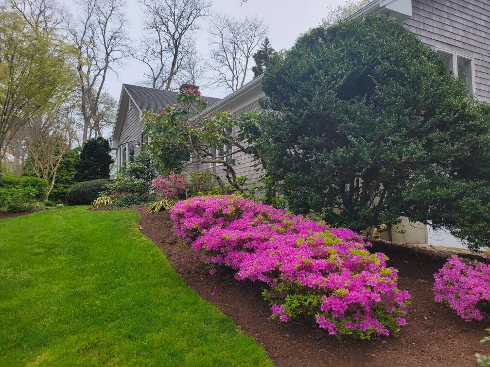 6 Joy Lane