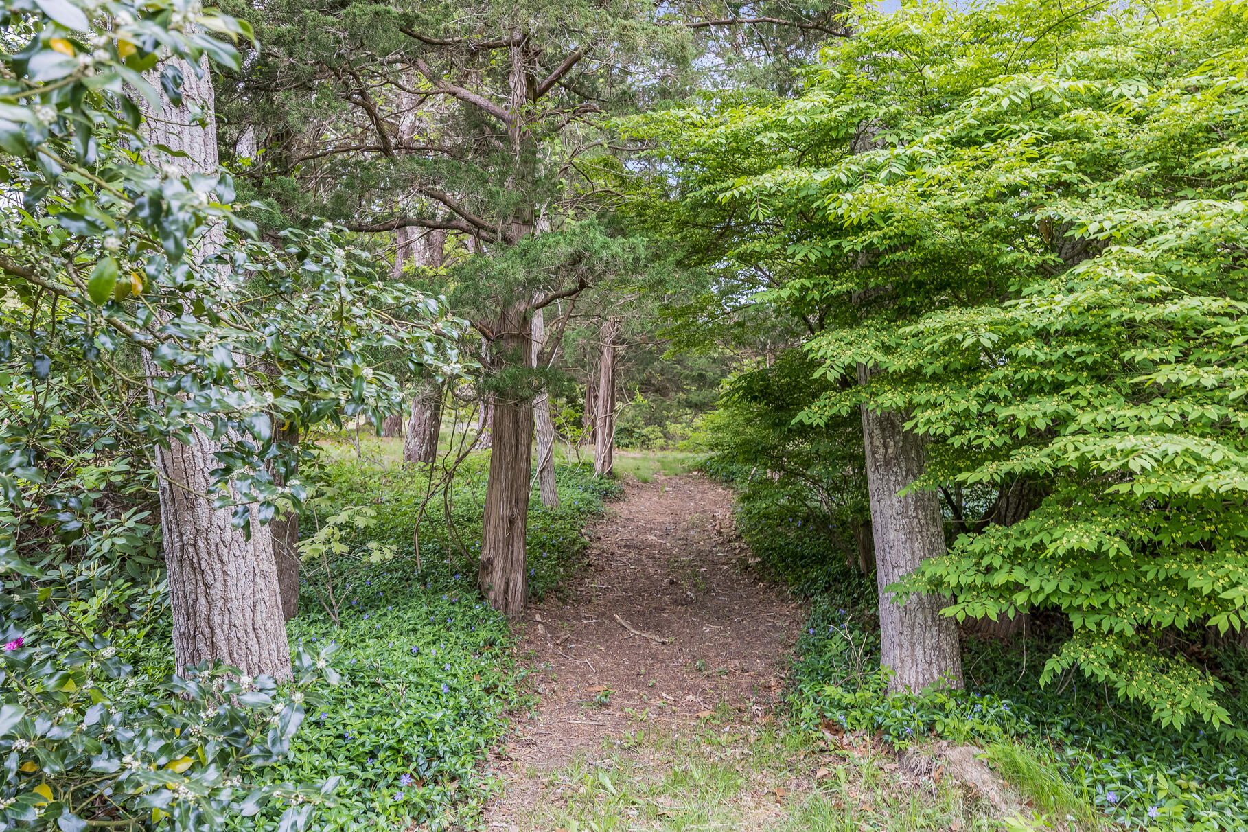 575 Nauset Road