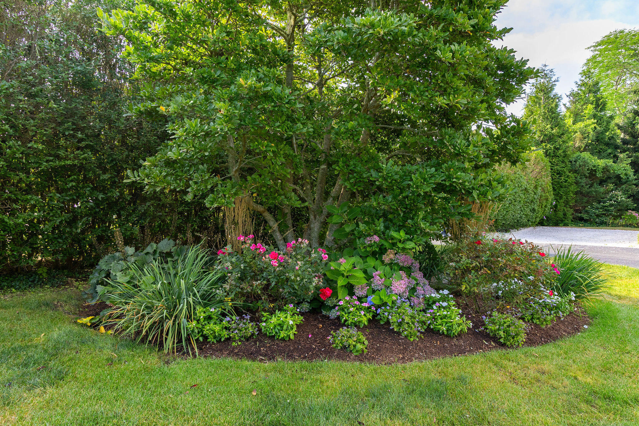 36 Cedar Land Road