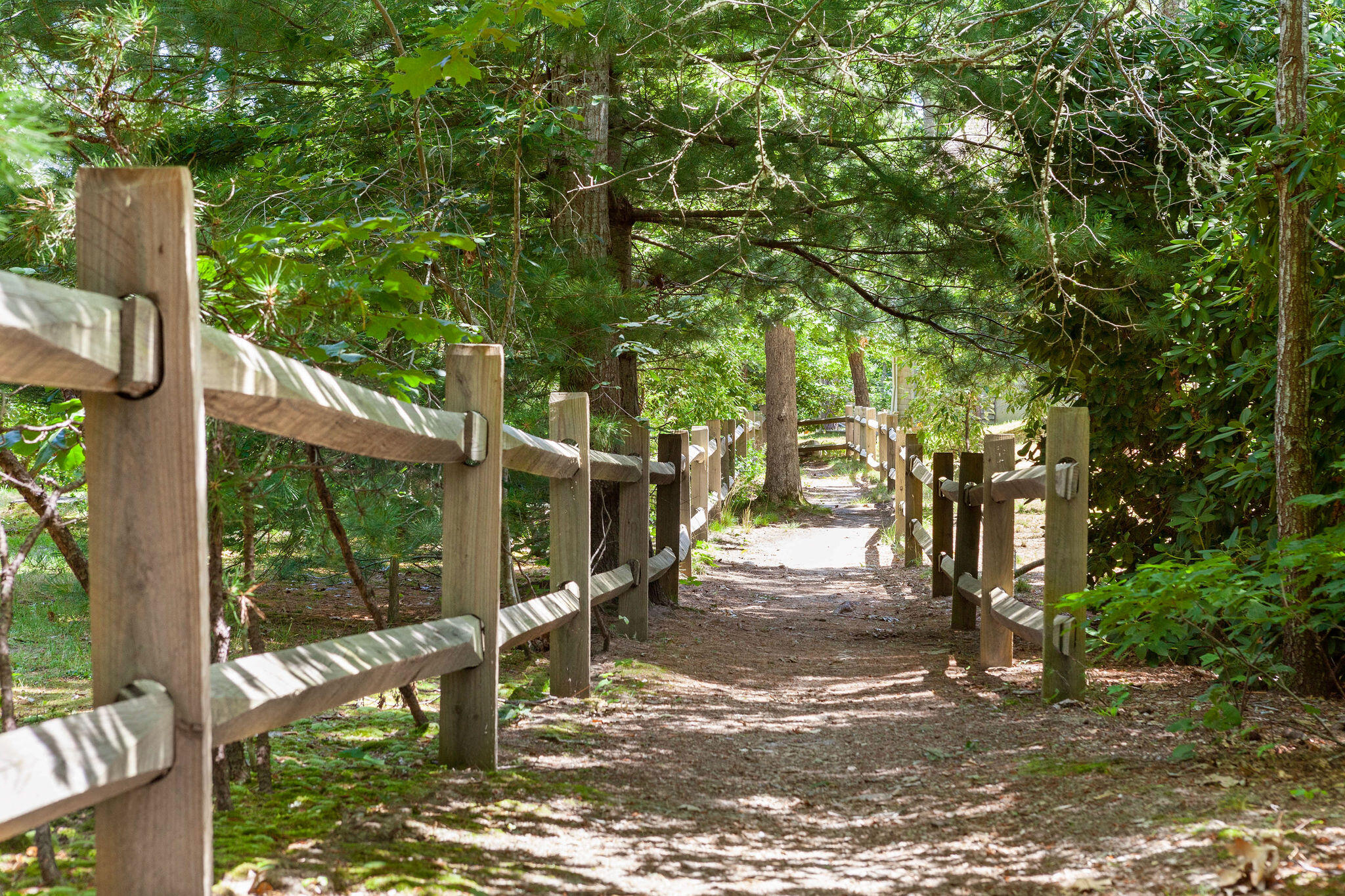 22 Pilgrim Lake Terrace