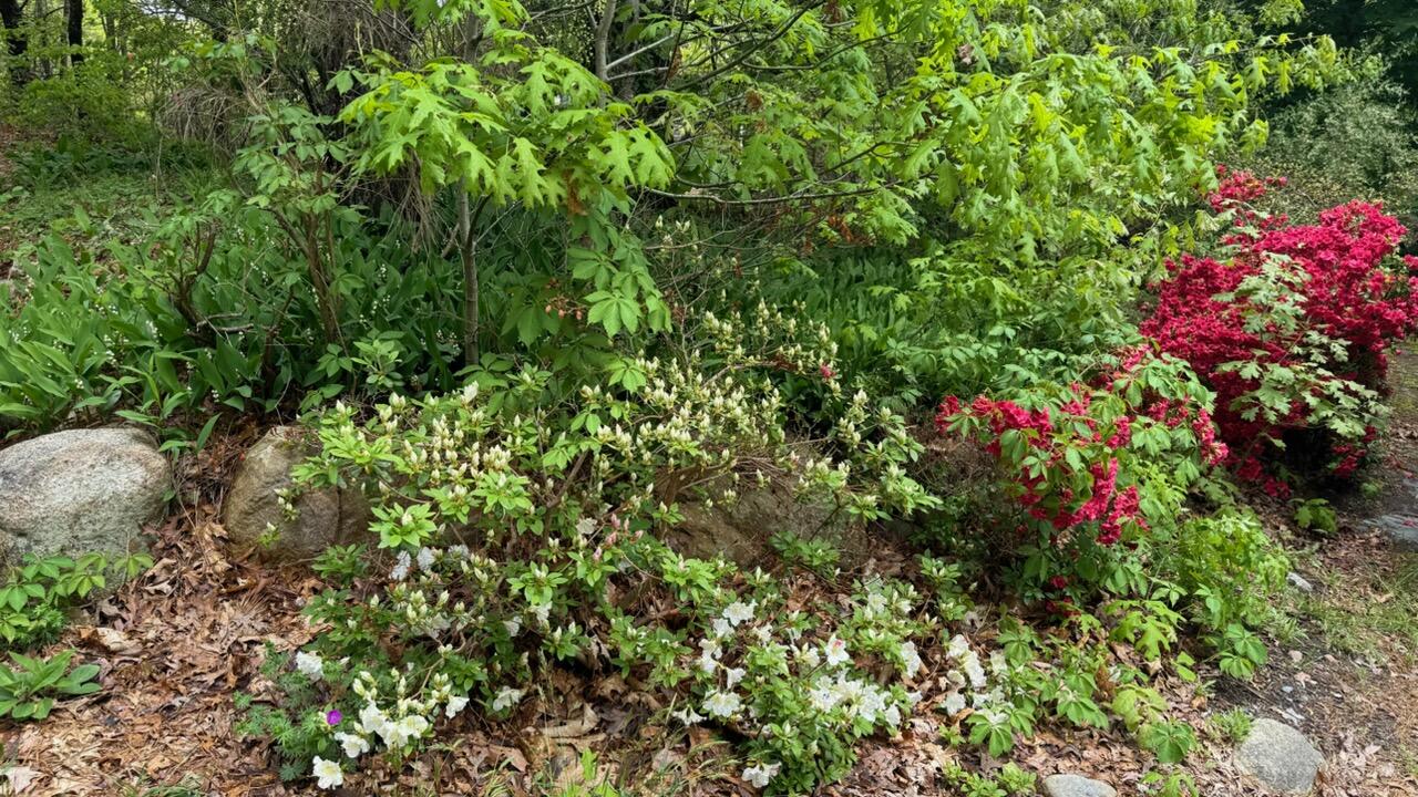 22 Pilgrim Lake Terrace