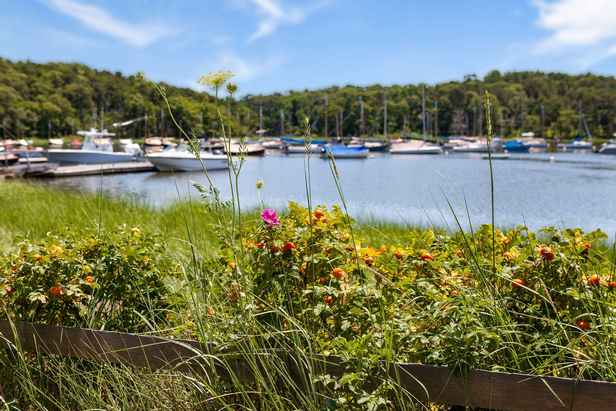 22 Pilgrim Lake Terrace