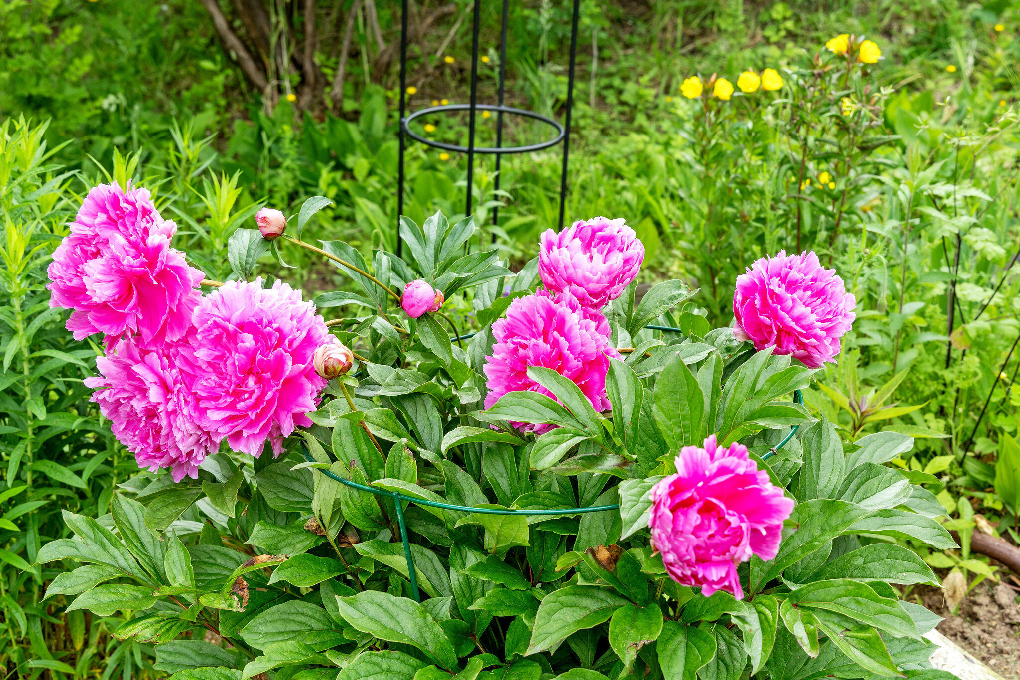 43 Old Duck Hole Road