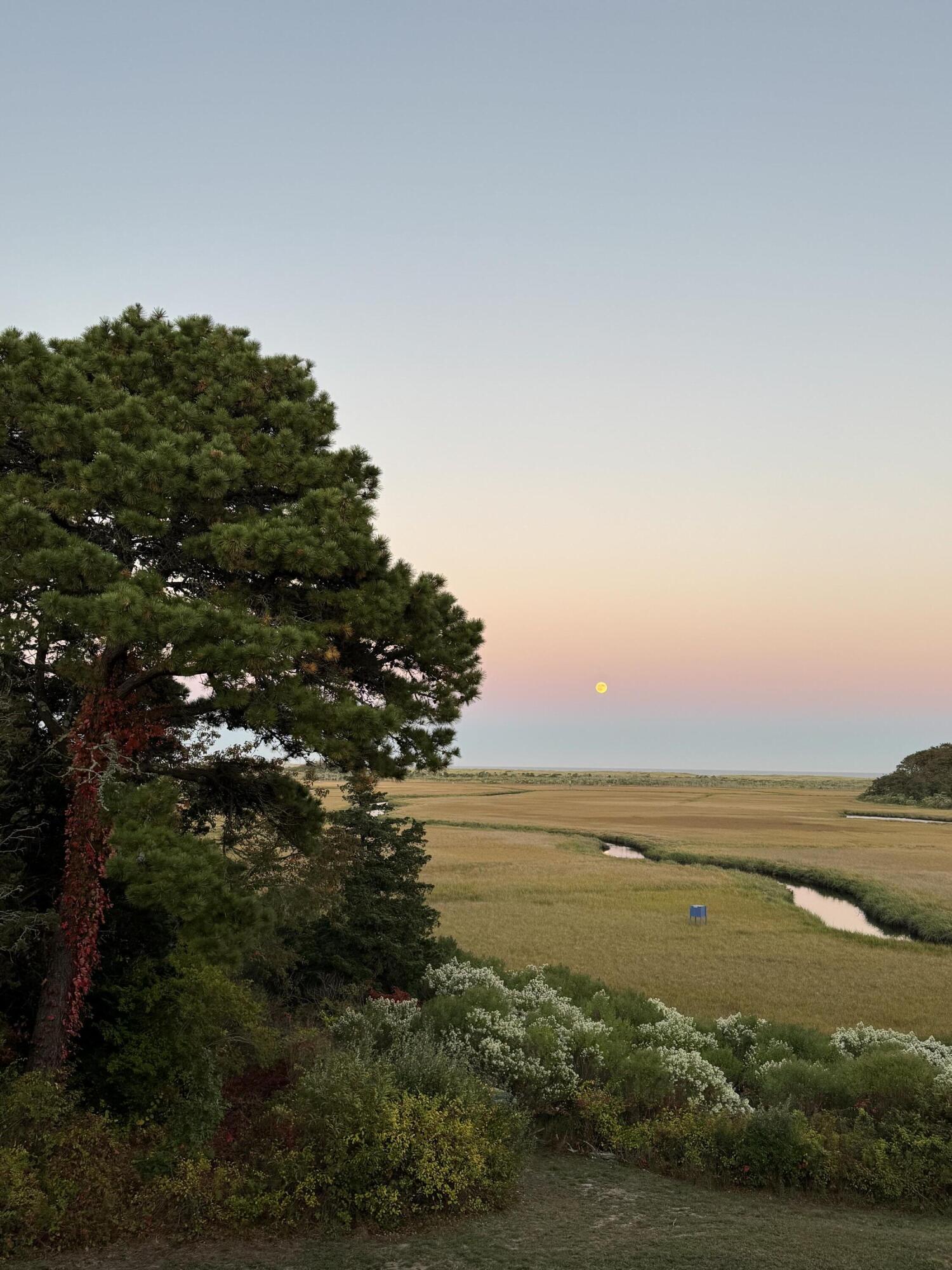 43 Old Duck Hole Road