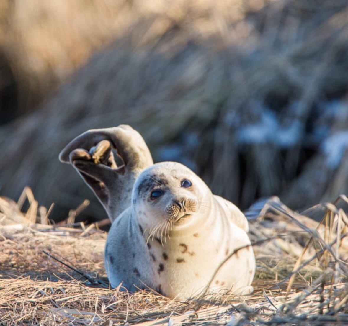 43 Old Duck Hole Road