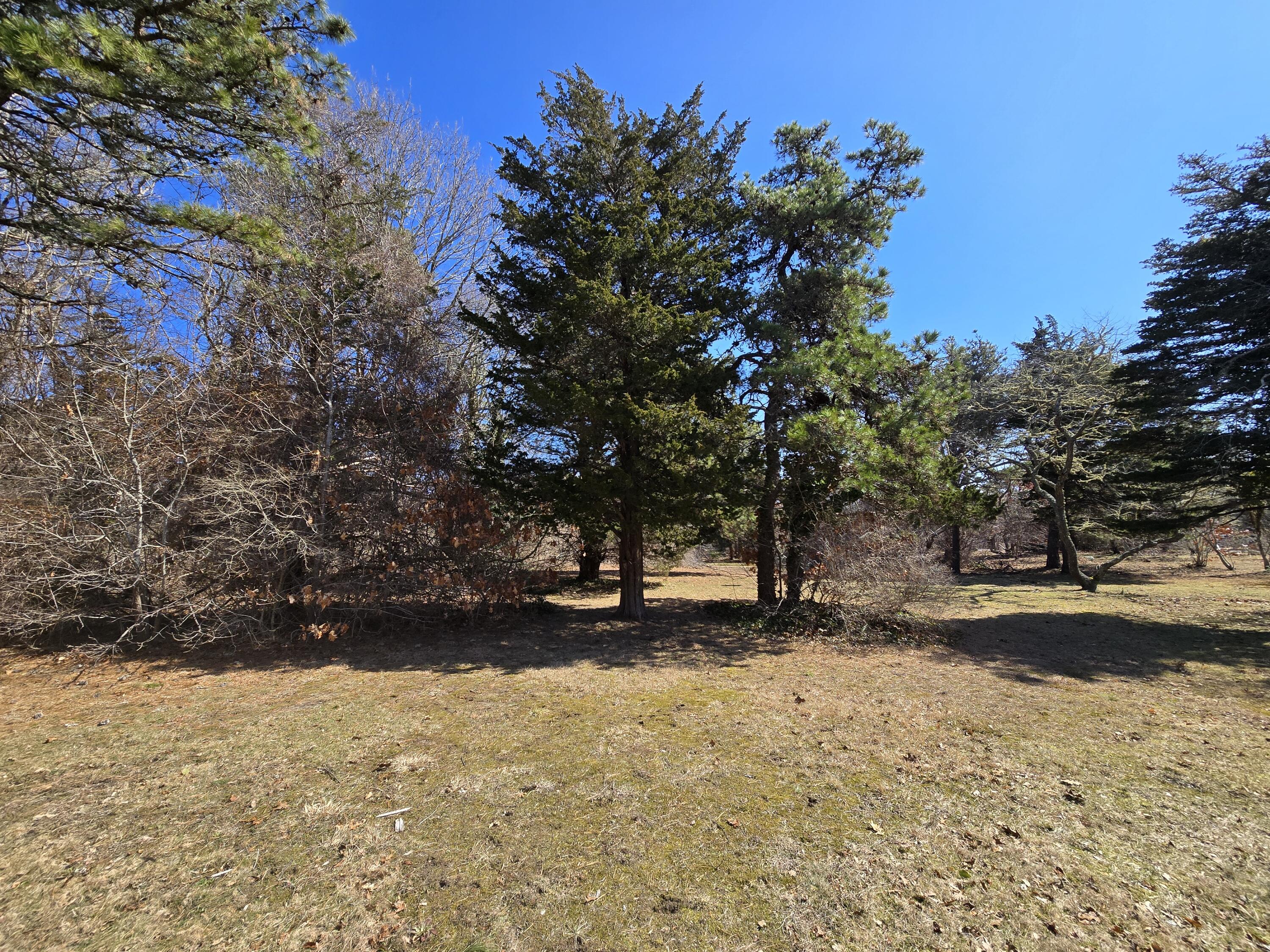 96 Briar Spring Road