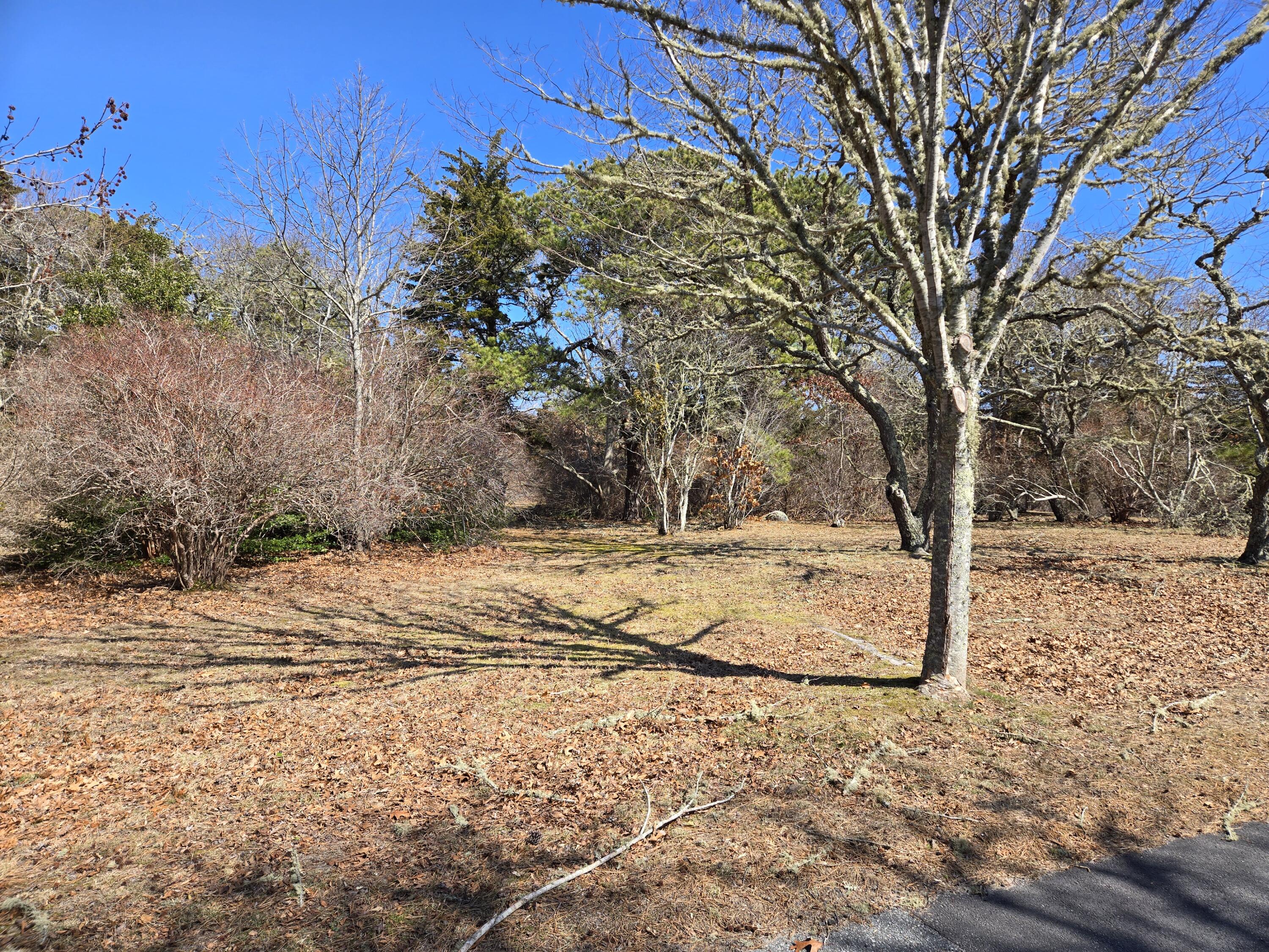 96 Briar Spring Road