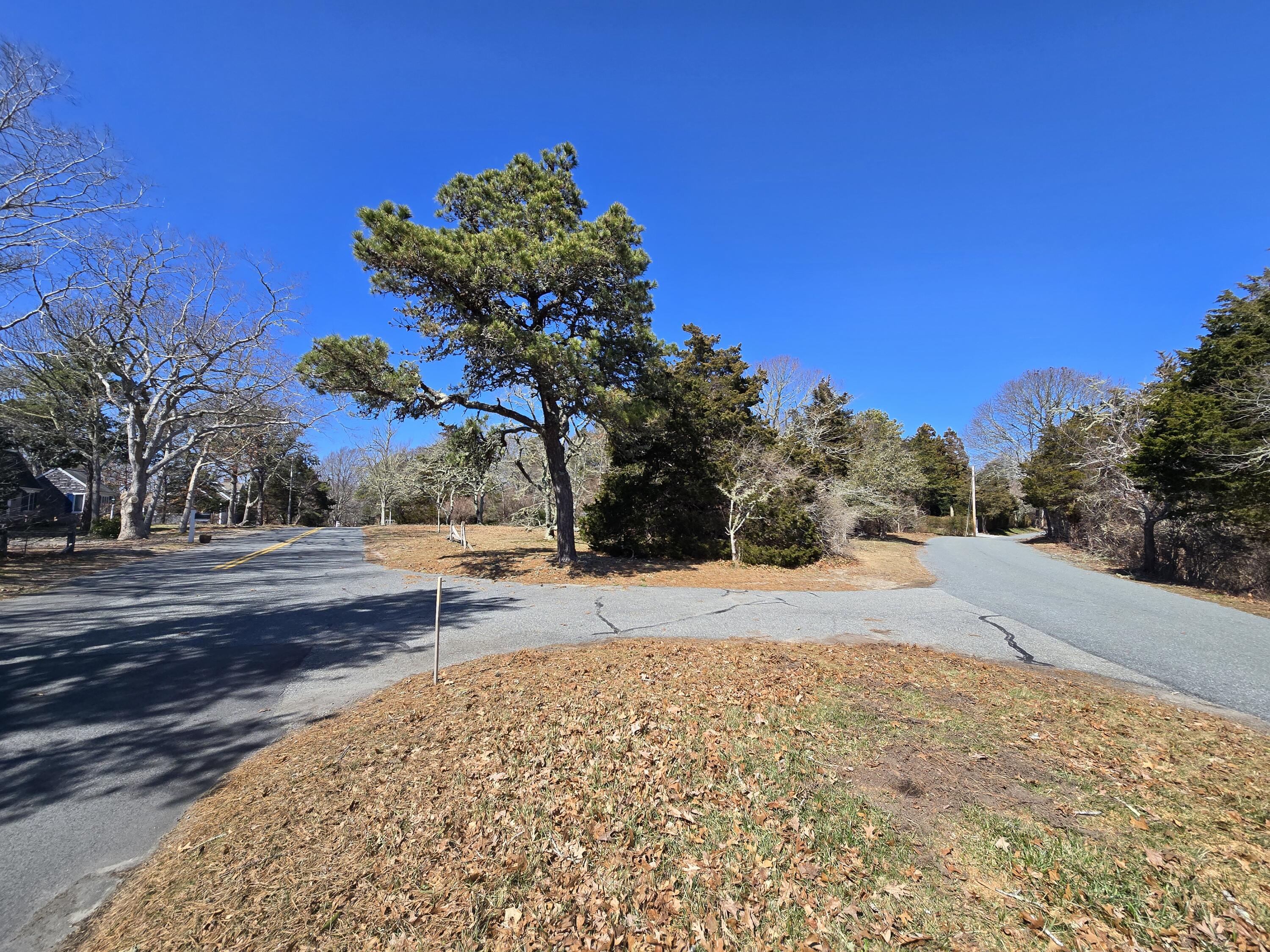 96 Briar Spring Road