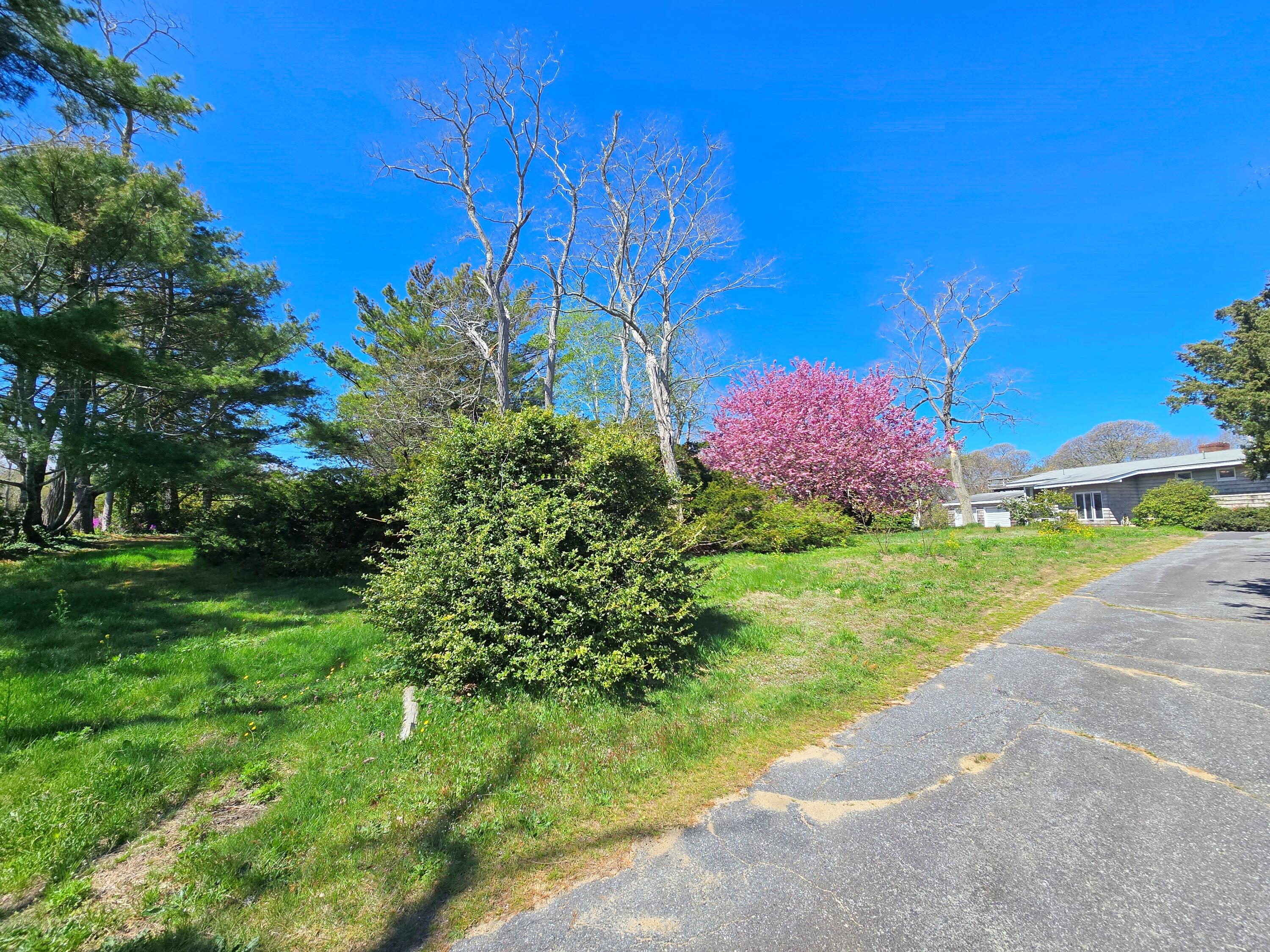 56 Locust Road