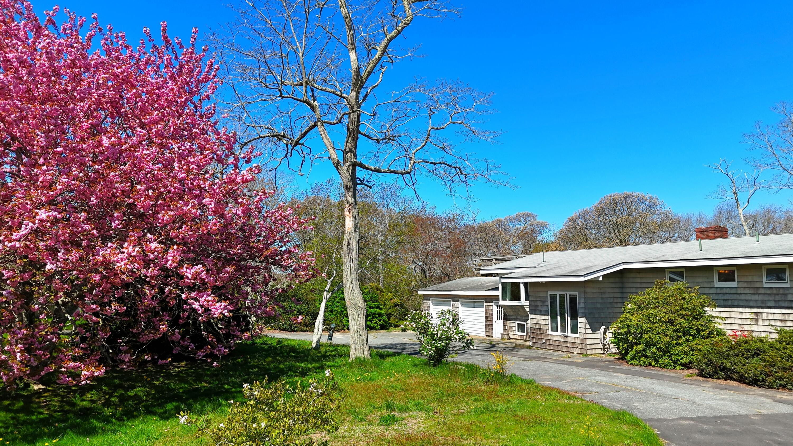 56 Locust Road