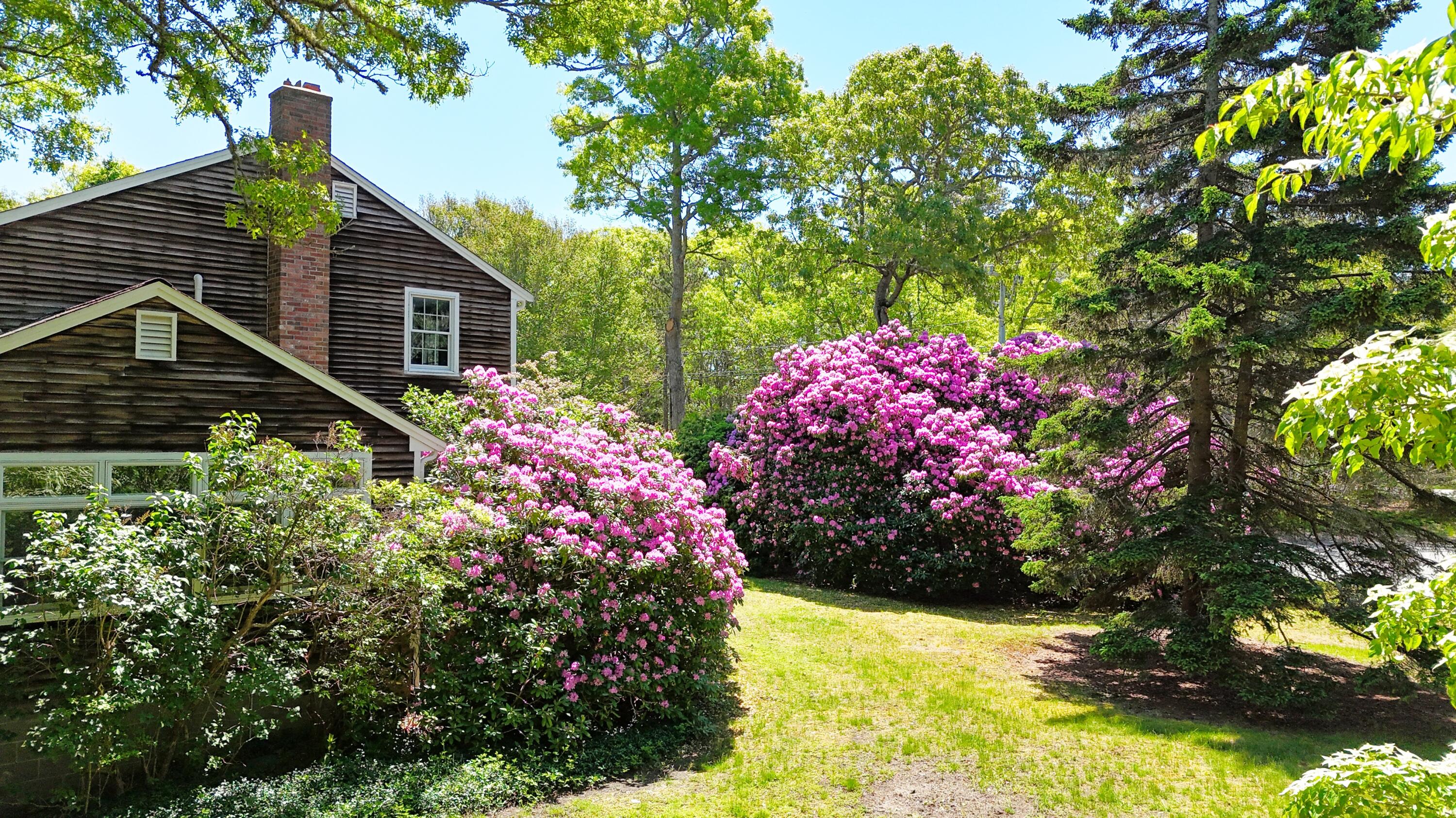 206 Landing Drive