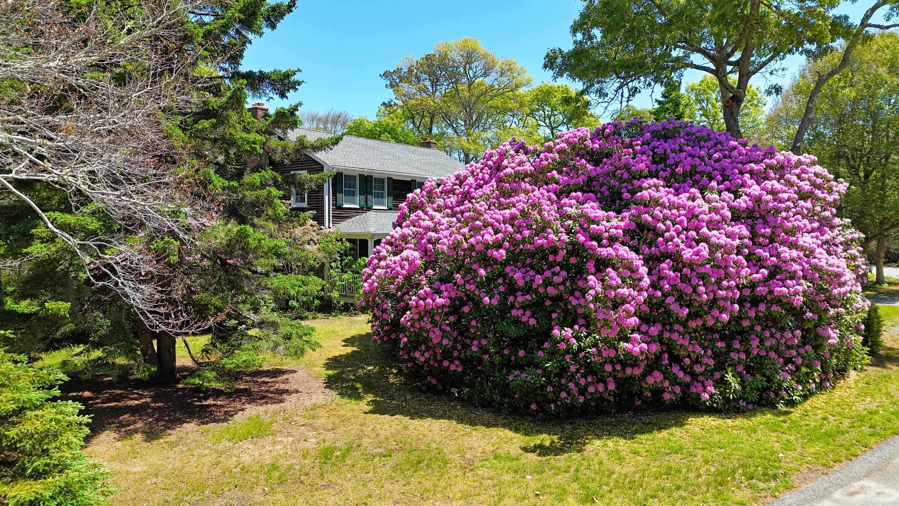 206 Landing Drive