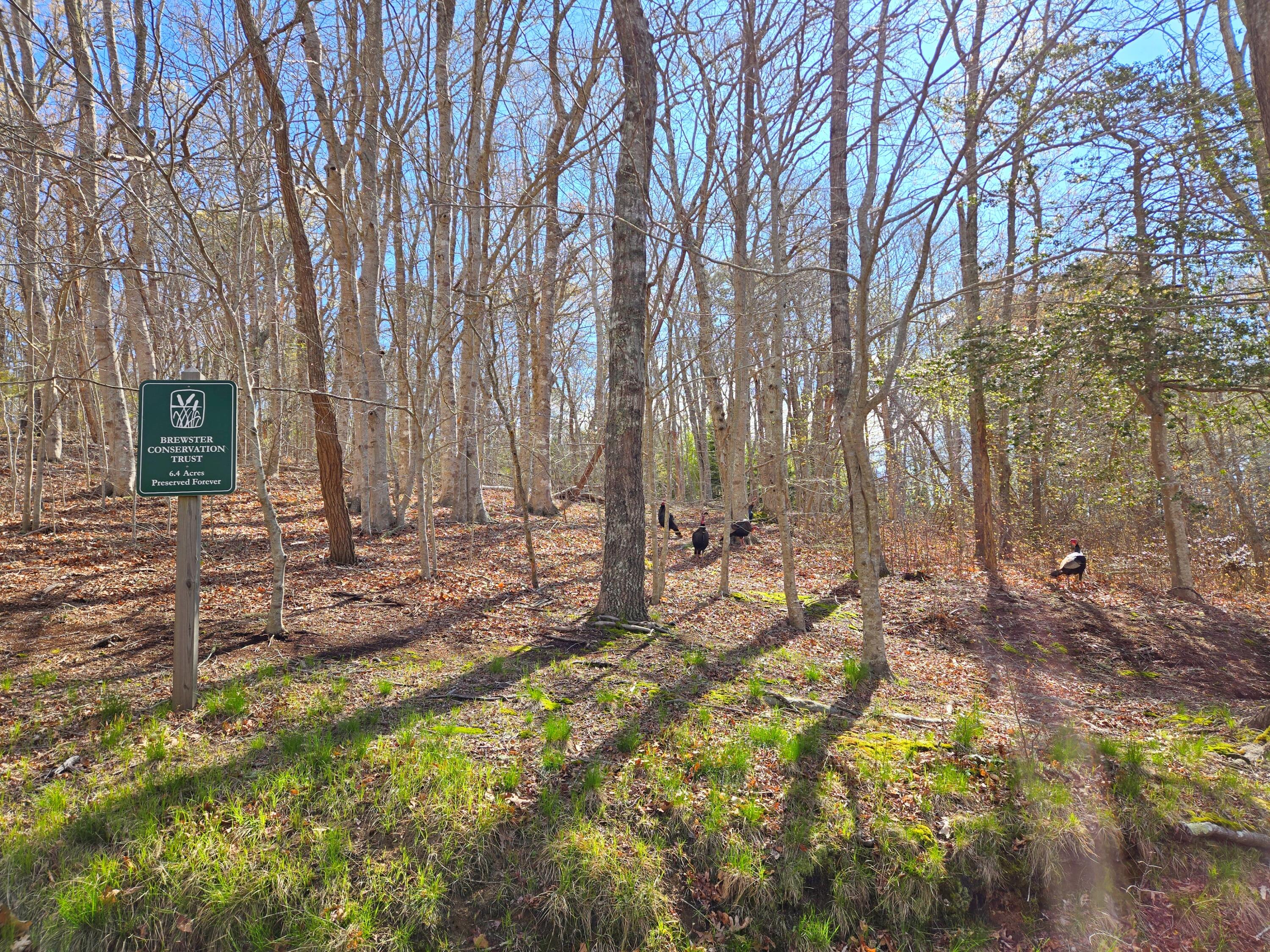 206 Landing Drive