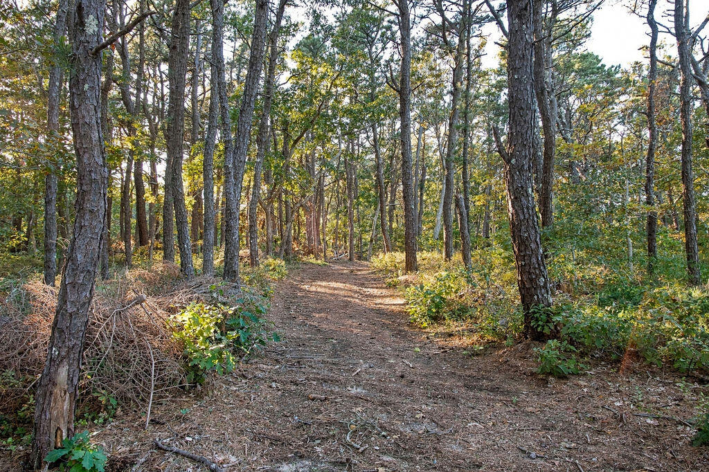1095 Long Pond Road
