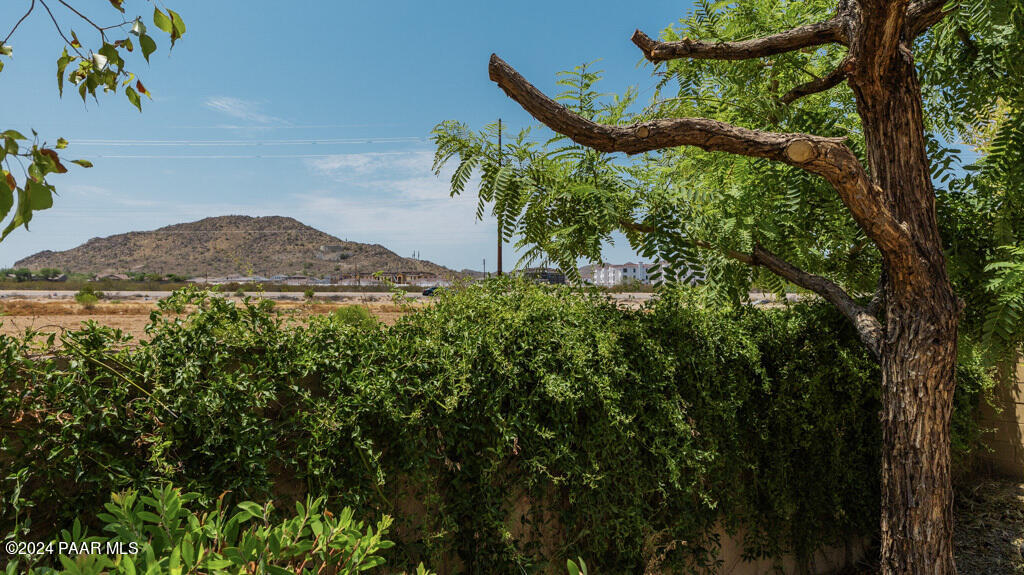 1167 W Desert Seasons Dr Drive