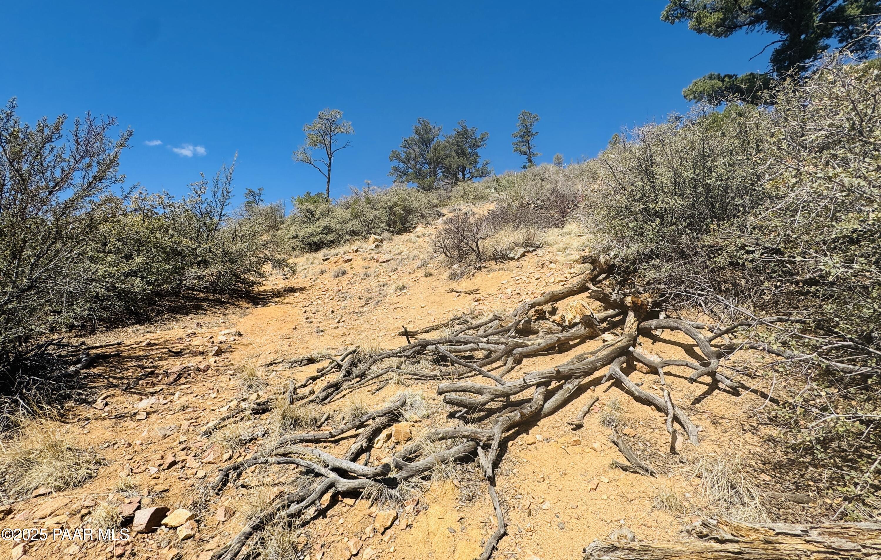 2614 Woodland Hills Drive