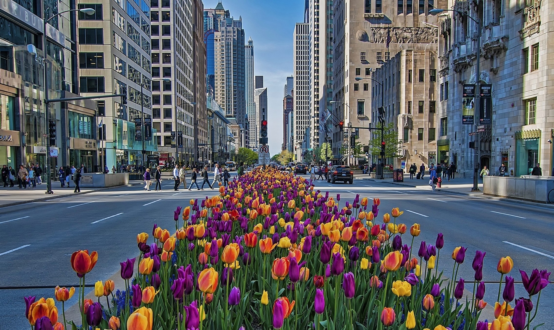 161 E CHICAGO Avenue Unit: 45FG