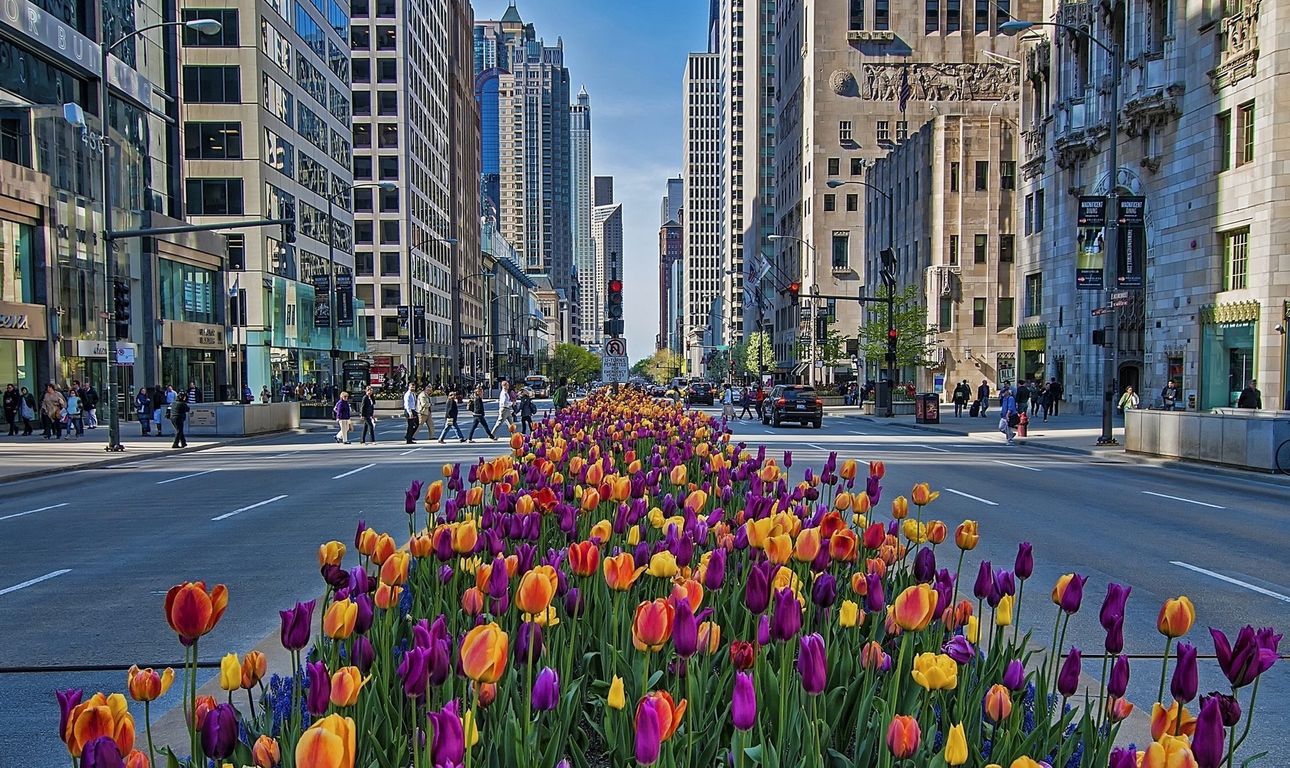 161 E CHICAGO Avenue Unit: 45FG